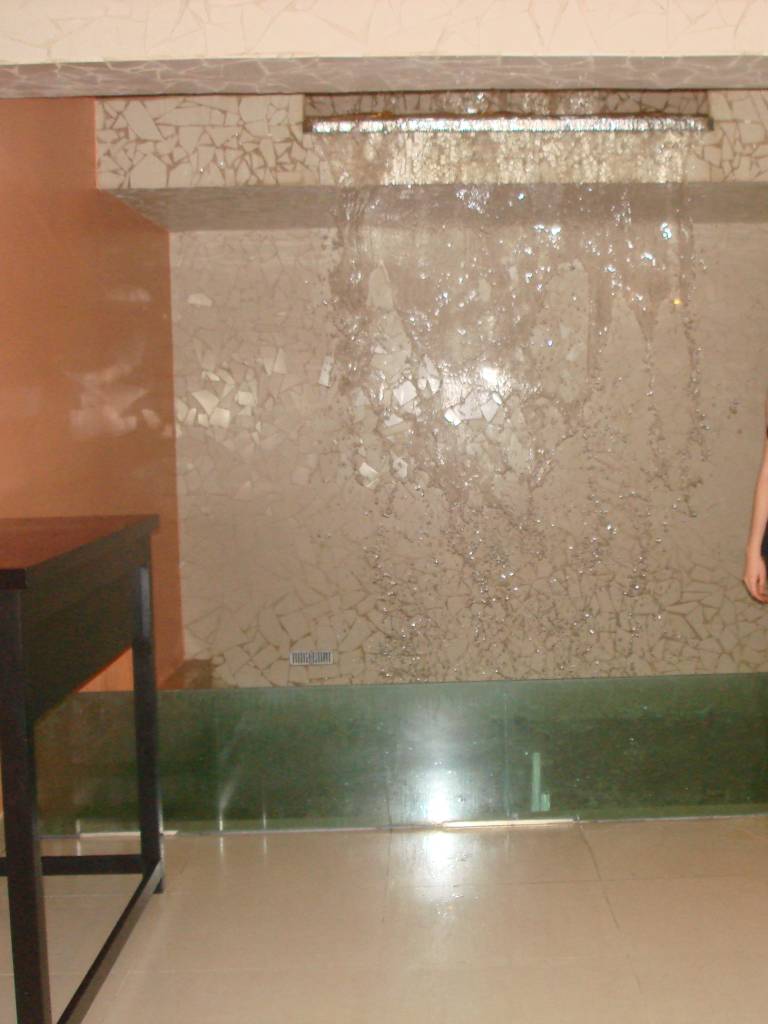 Photo de Joy